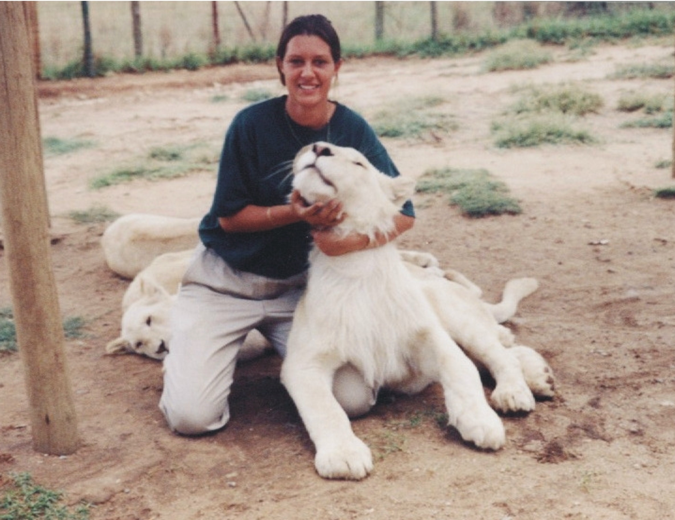 Leanne with Maru the white Lion at Lion Patk JHB