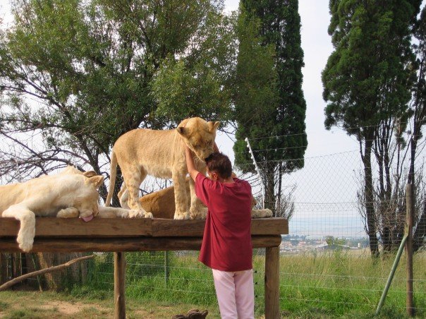 My mom witht eh Lions she raised